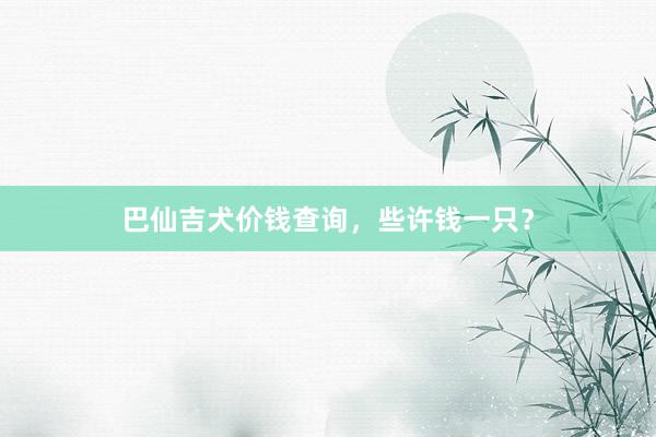 巴仙吉犬价钱查询，些许钱一只？
